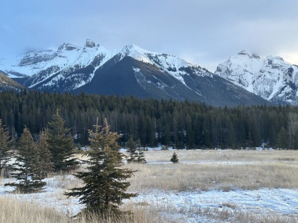 Banff Plain - Image 2