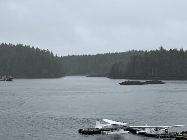 Tofino Harbour - Image 5
