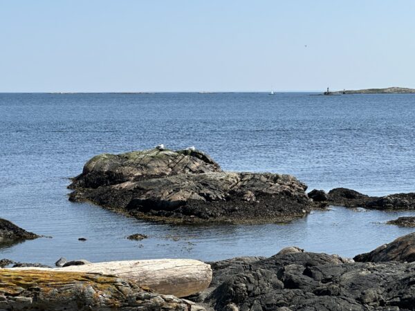 View from Cattle Point - Image 3