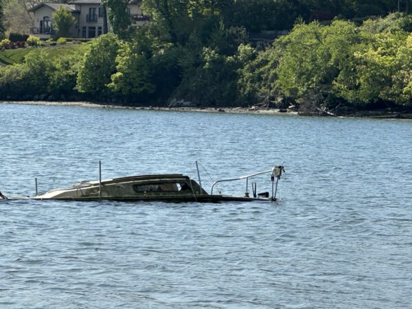 Just Hanging in Cadboro Bay - Image 4