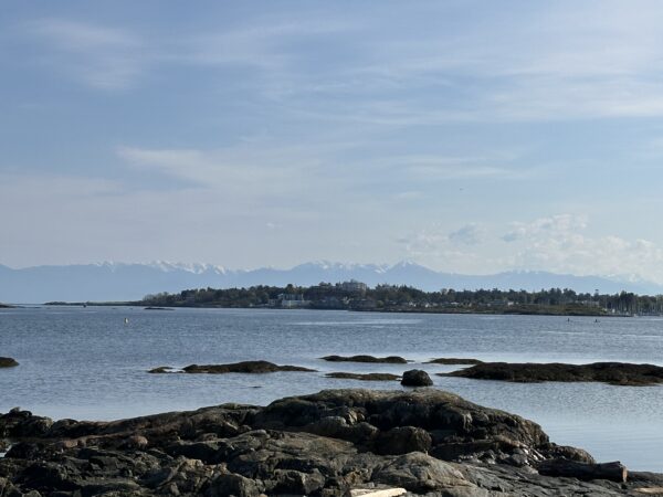 View from Cattle Point - Image 4