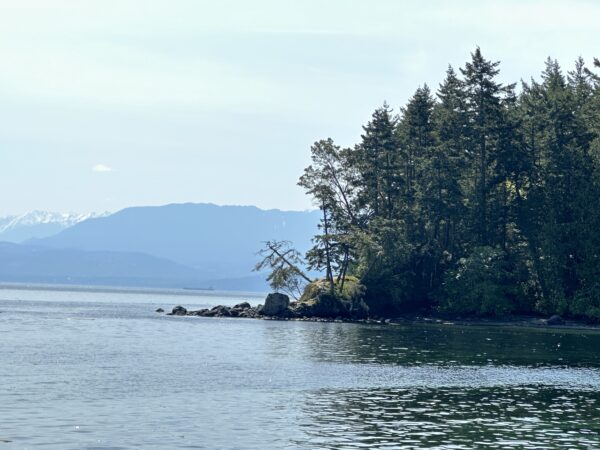 Creyke Point - Image 5