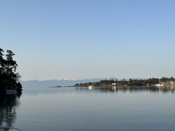 A Cadboro Bay Morning - Image 4