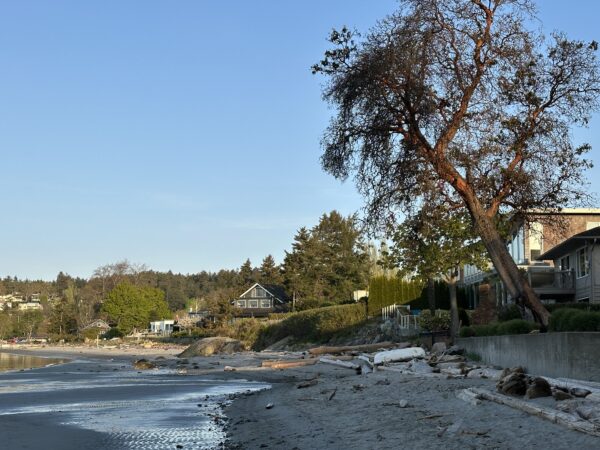 A Cadboro Bay Morning - Image 5