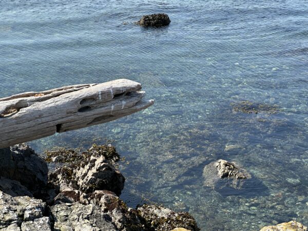 Drifting in Cattle Point - Image 5