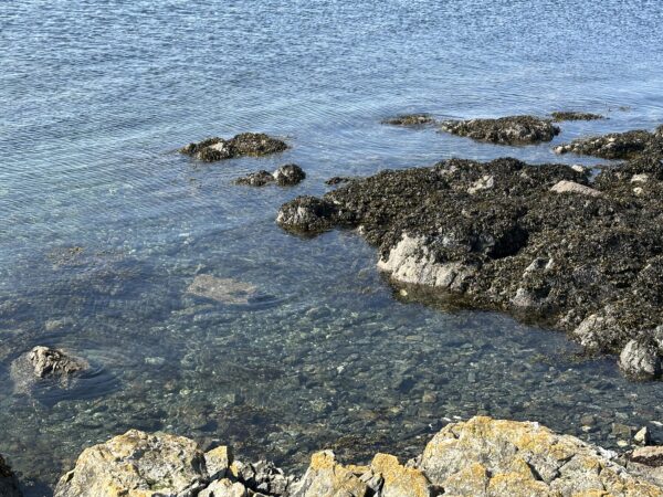 Drifting in Cattle Point - Image 6