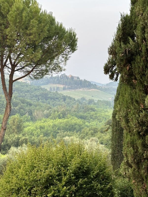 Early Morning in Chianti - Image 3