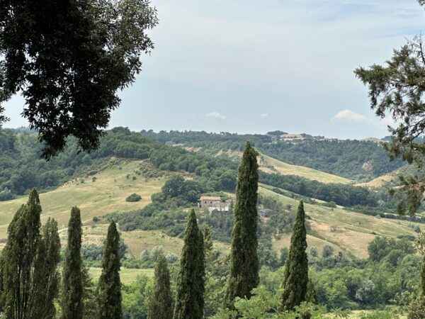 Tuscan Countryside - Image 3
