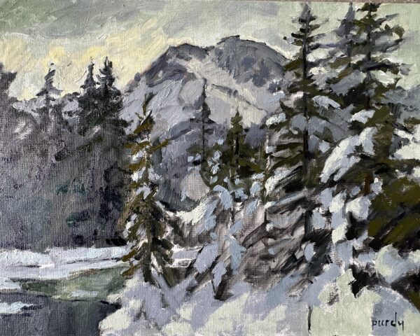 Lake Louise winter scenes