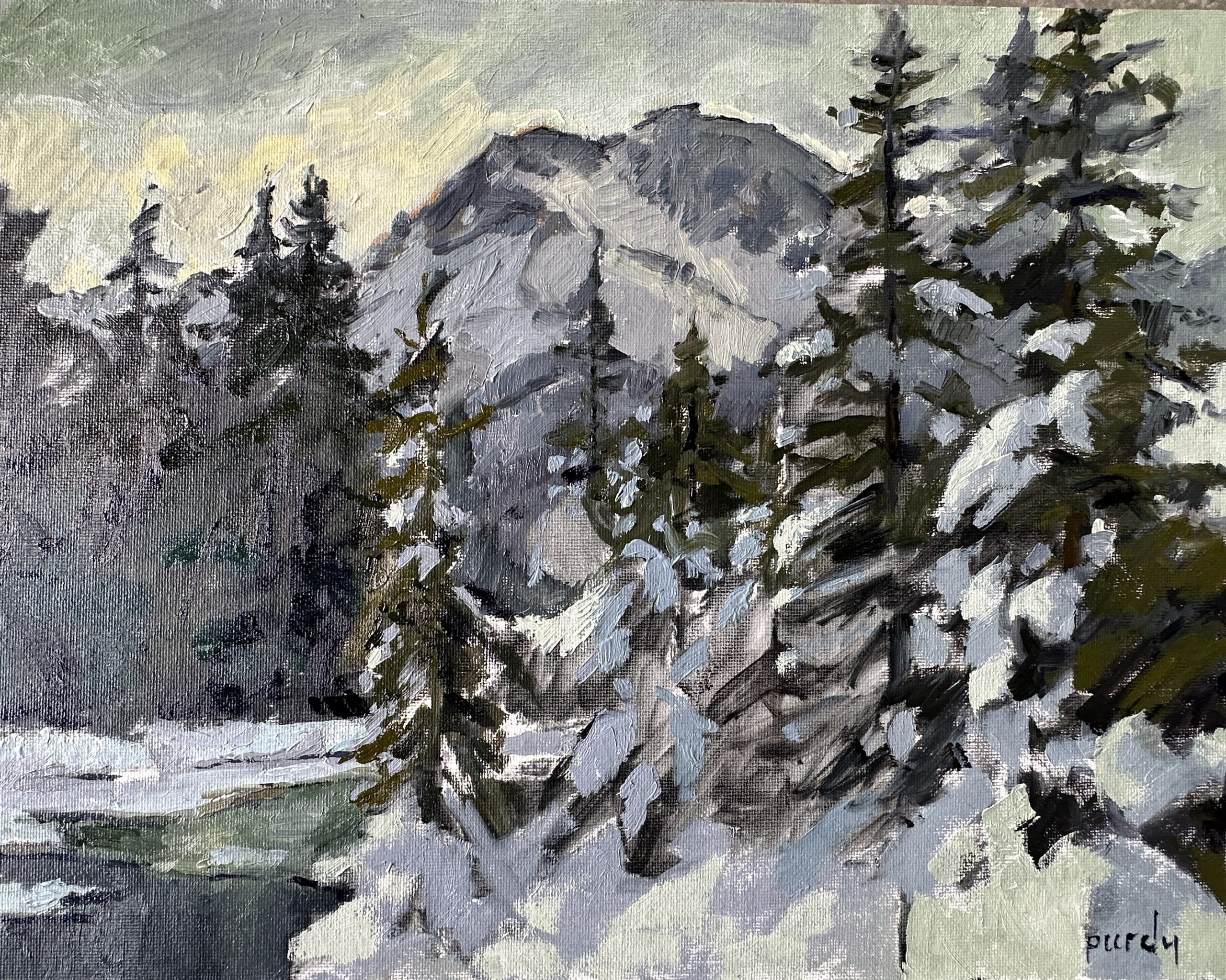 Lake Louise winter scenes