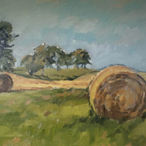 Haybales against the Sky